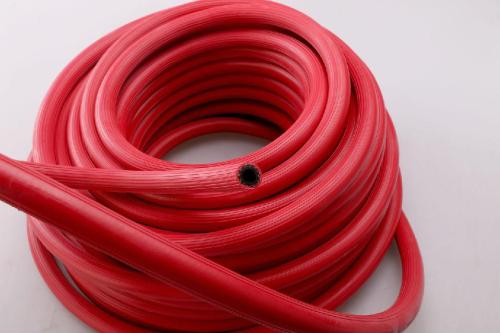 ��Ȳ��